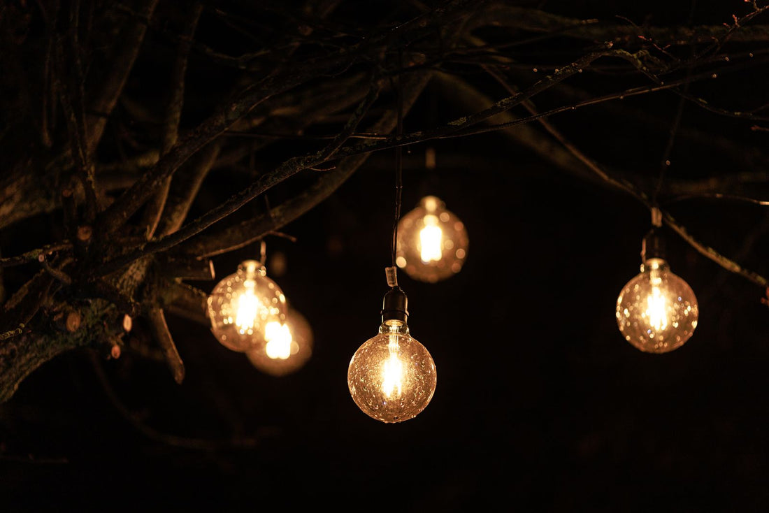 Żarówki LED Globe wiszące na gałęziach drzewa w ogrodzie nocą